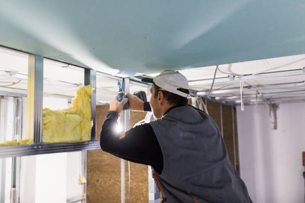 Best Insulation Removal  in Bloomington, IL