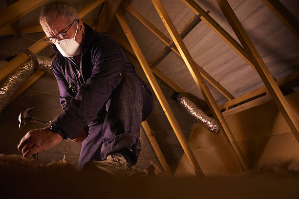 Insulation Replacement Services in Bloomington, IL